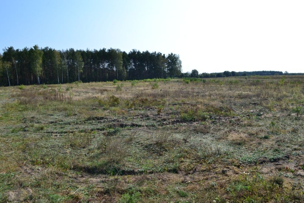 Działka inwestycyjna Kicin. Zdjęcie 3