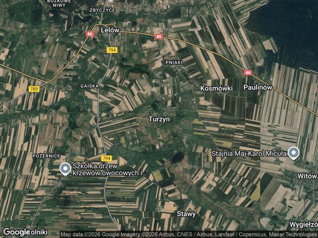 Działka rolna Turzyn Pniaki. Zdjęcie 1