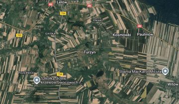 Działka rolna Turzyn Pniaki