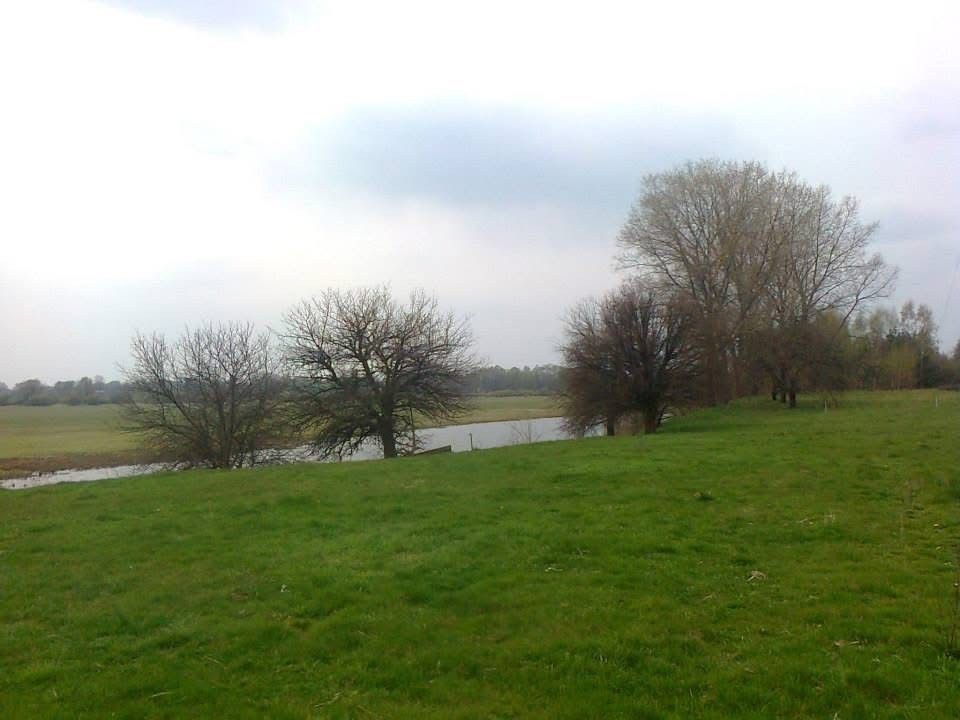 Działka rolno-budowlana Udrzyn