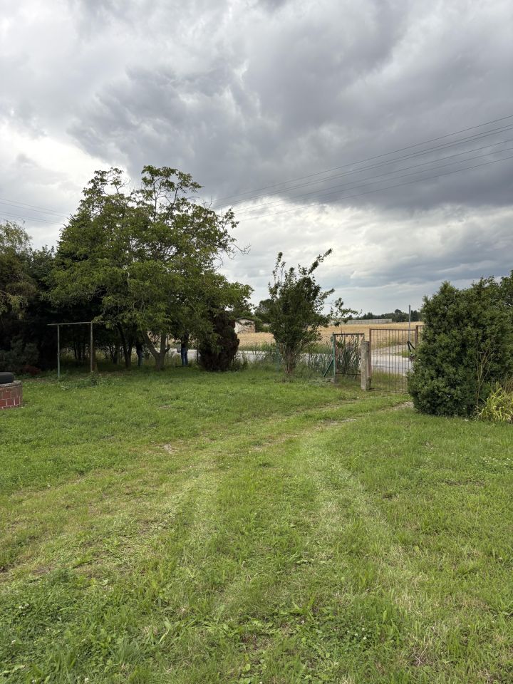 Działka rolno-budowlana Pichorowice, Pichorowice 74. Zdjęcie 2