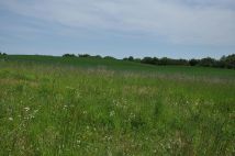 Działka budowlana Godziszewo, ul. Nad Jeziorem. Zdjęcie 2