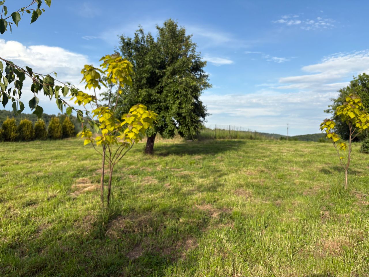 Działka rolno-budowlana Kwaczała. Zdjęcie 8