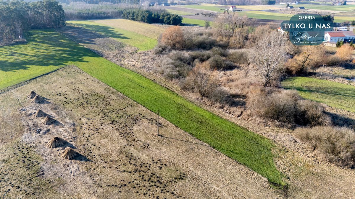 Działka inwestycyjna Łuszczewo. Zdjęcie 8