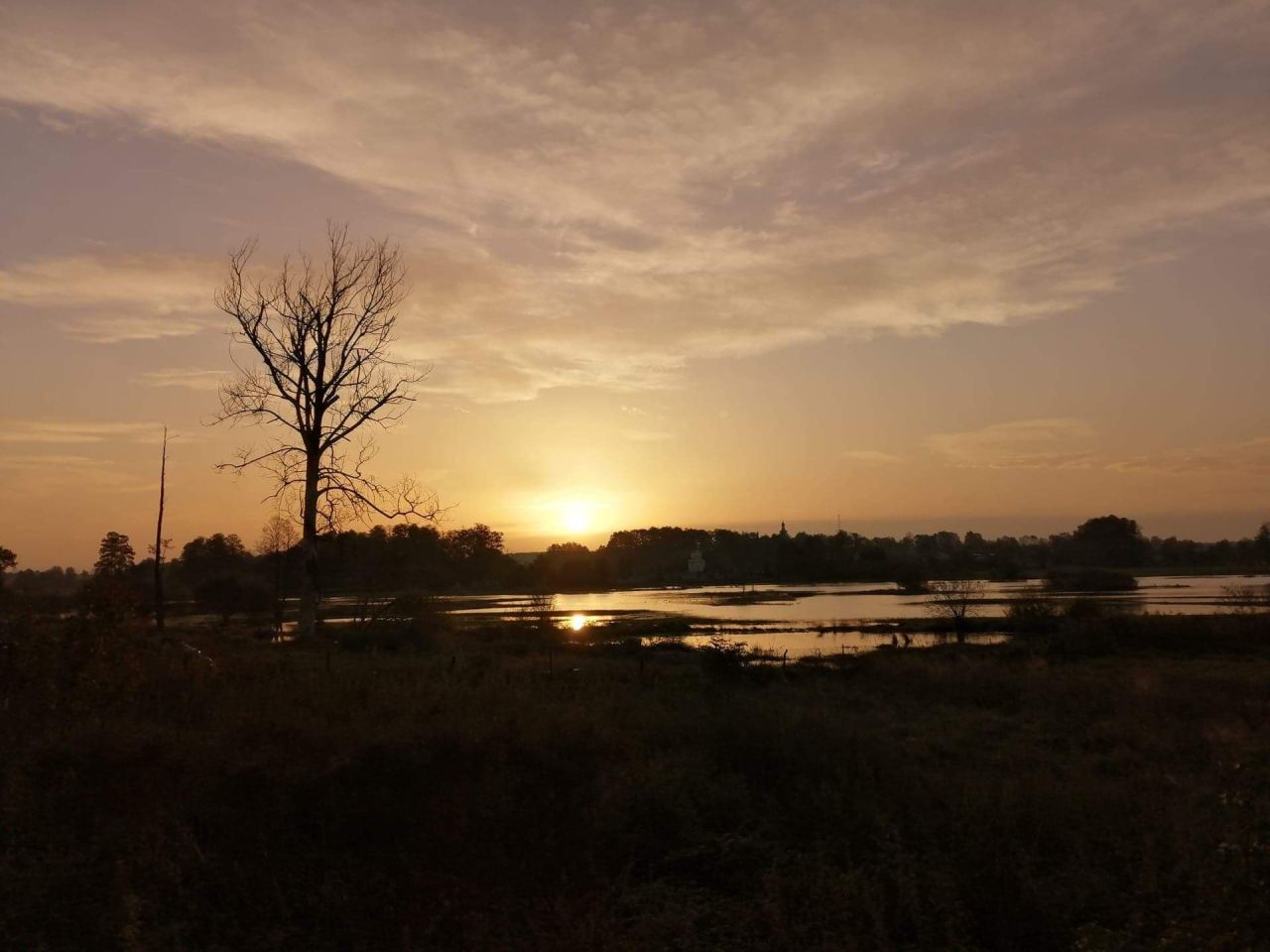 Działka siedliskowa Stara Sucha. Zdjęcie 21