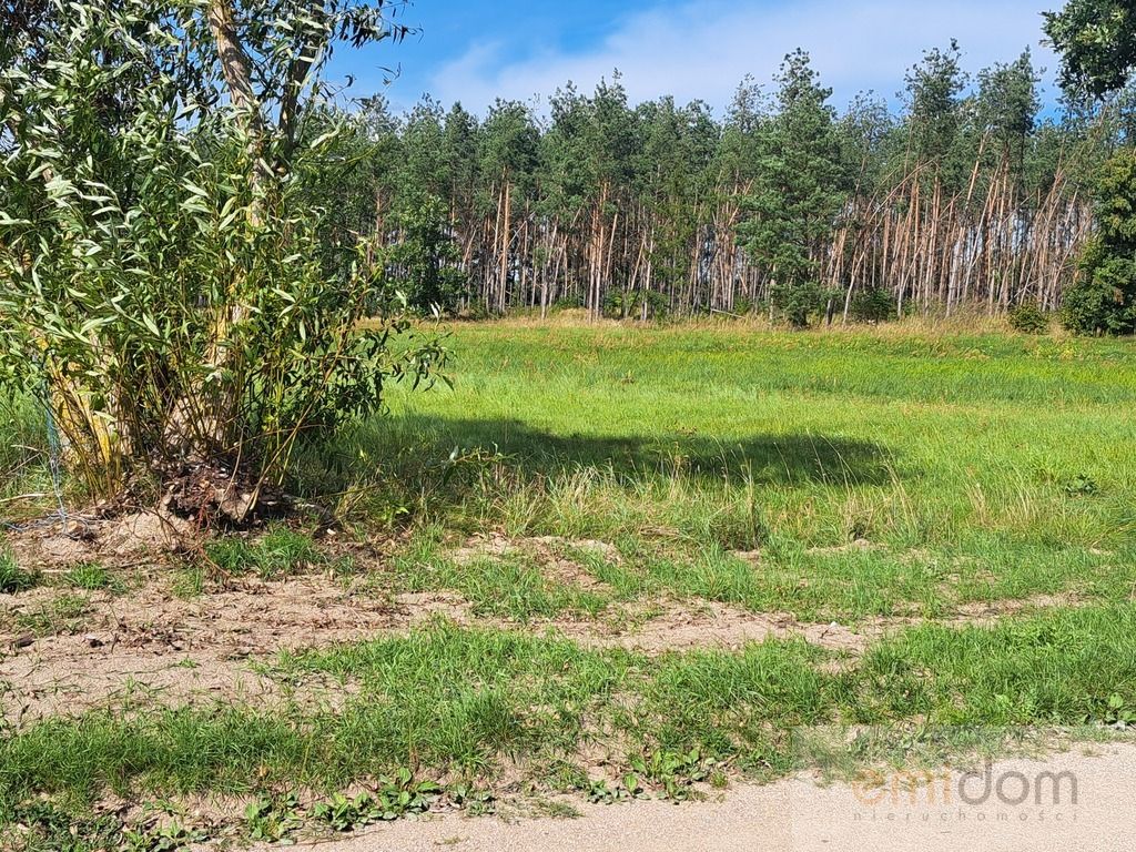 Działka inwestycyjna Szafranki. Zdjęcie 5