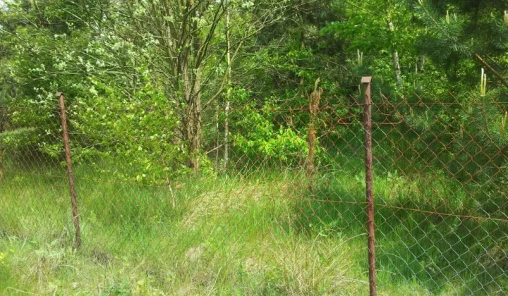 Działka rekreacyjna Rokitnica