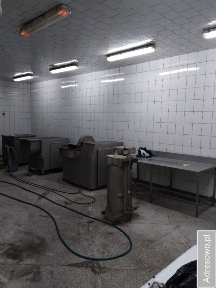 Lokal Dąbrowa-Dzięciel. Zdjęcie 5