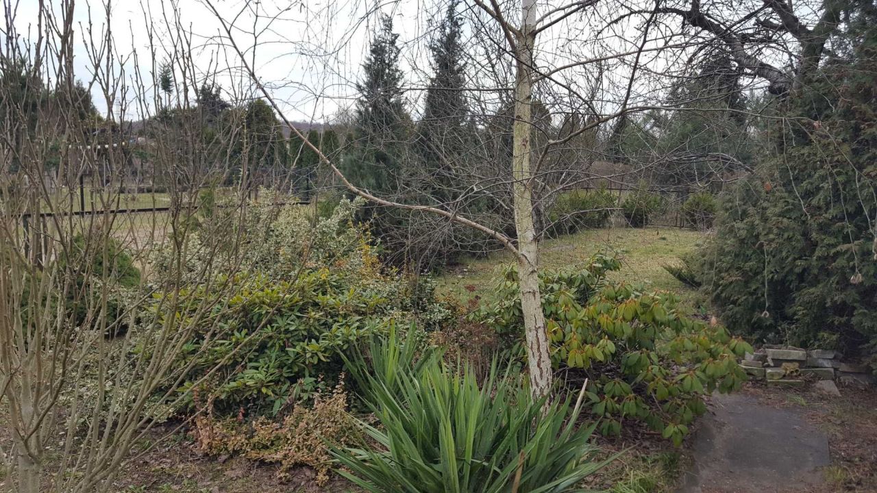 Działka rod Sosnowiec Niwka. Zdjęcie 2