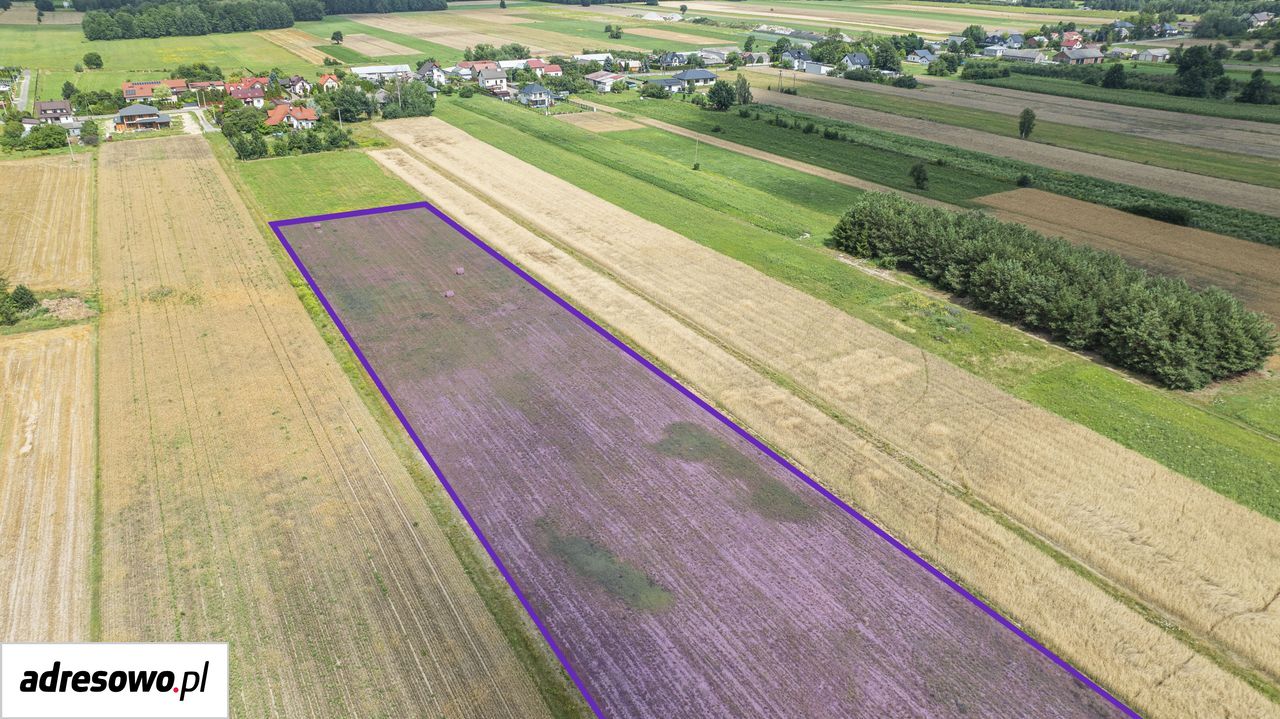 Działka budowlana Anielinek. Zdjęcie 5