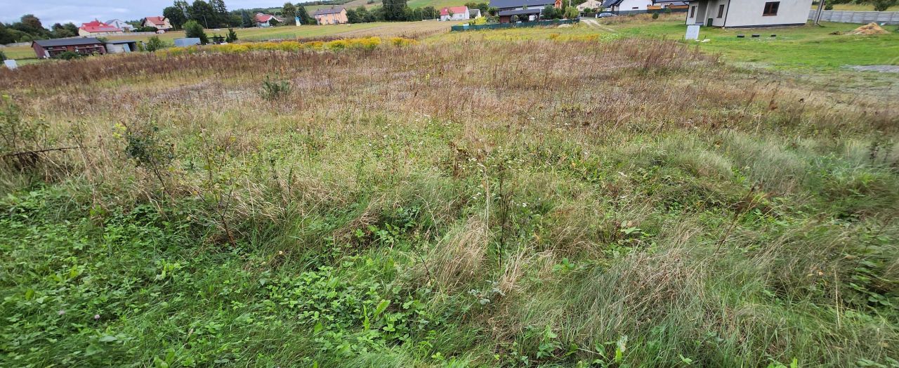 Działka budowlana Bolmin. Zdjęcie 4