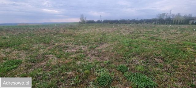 Działka budowlana Wińsko. Zdjęcie 1
