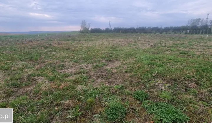 Działka budowlana Wińsko