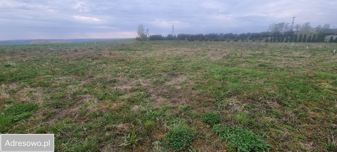 Działka budowlana Wińsko
