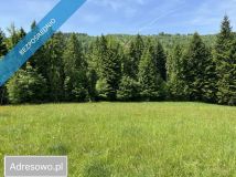 Działka budowlana Bogdanówka. Zdjęcie 2