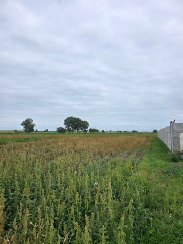 Działka budowlana Trzebisławki. Zdjęcie 1