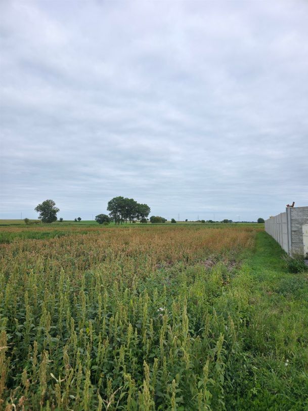 Działka budowlana Trzebisławki