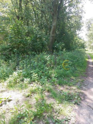 Działka budowlana Popielarze, Popielarze. Zdjęcie 13