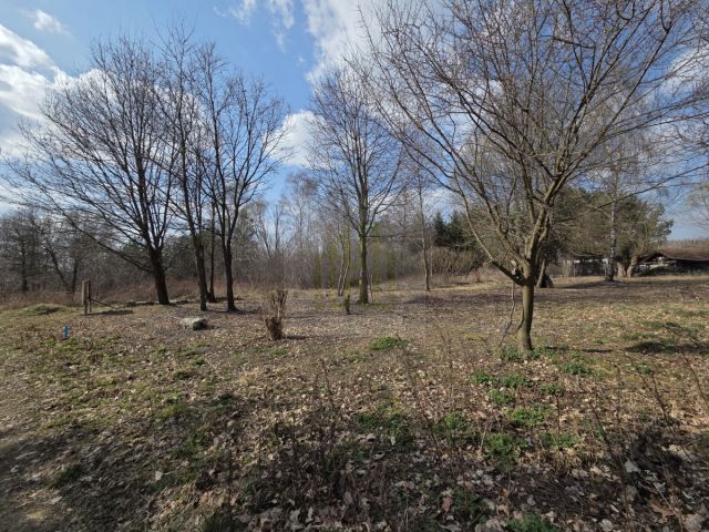 Działka budowlana Międzyborów. Zdjęcie 5