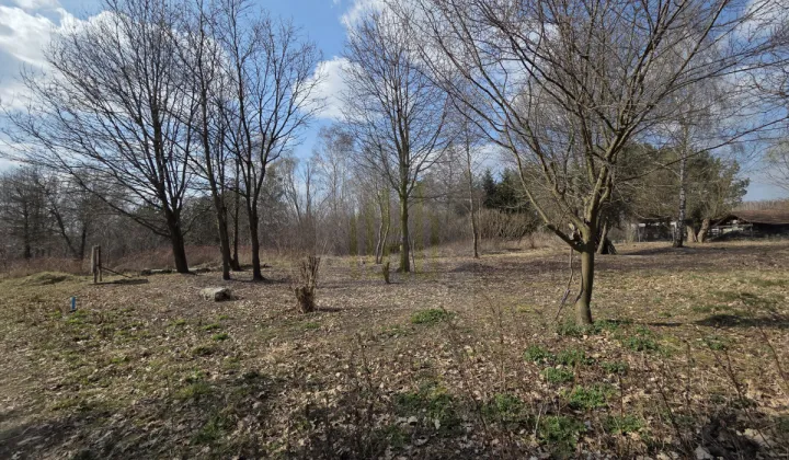 Działka budowlana Międzyborów