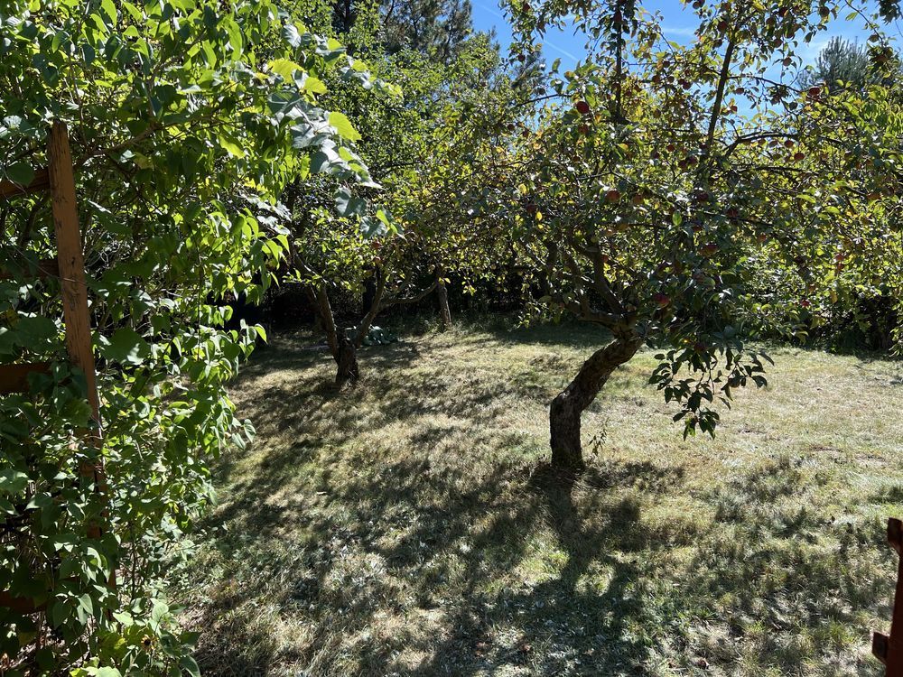 Działka rod Warszawa Wilanów, ul. Augustówka. Zdjęcie 3