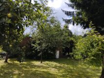 Działka rod Ostróda, ul. Szosa Elbląska. Zdjęcie 4
