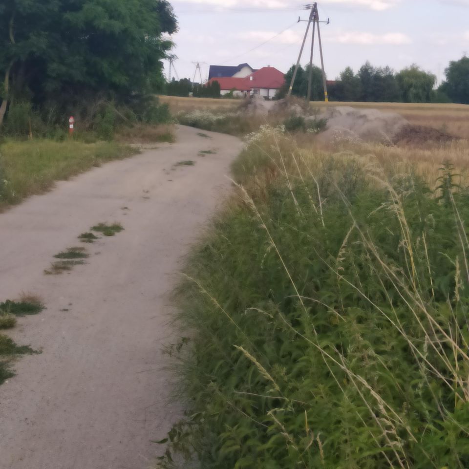 Działka siedliskowa Kulin. Zdjęcie 2