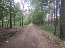 Działka budowlana Brzeziny. Zdjęcie 3