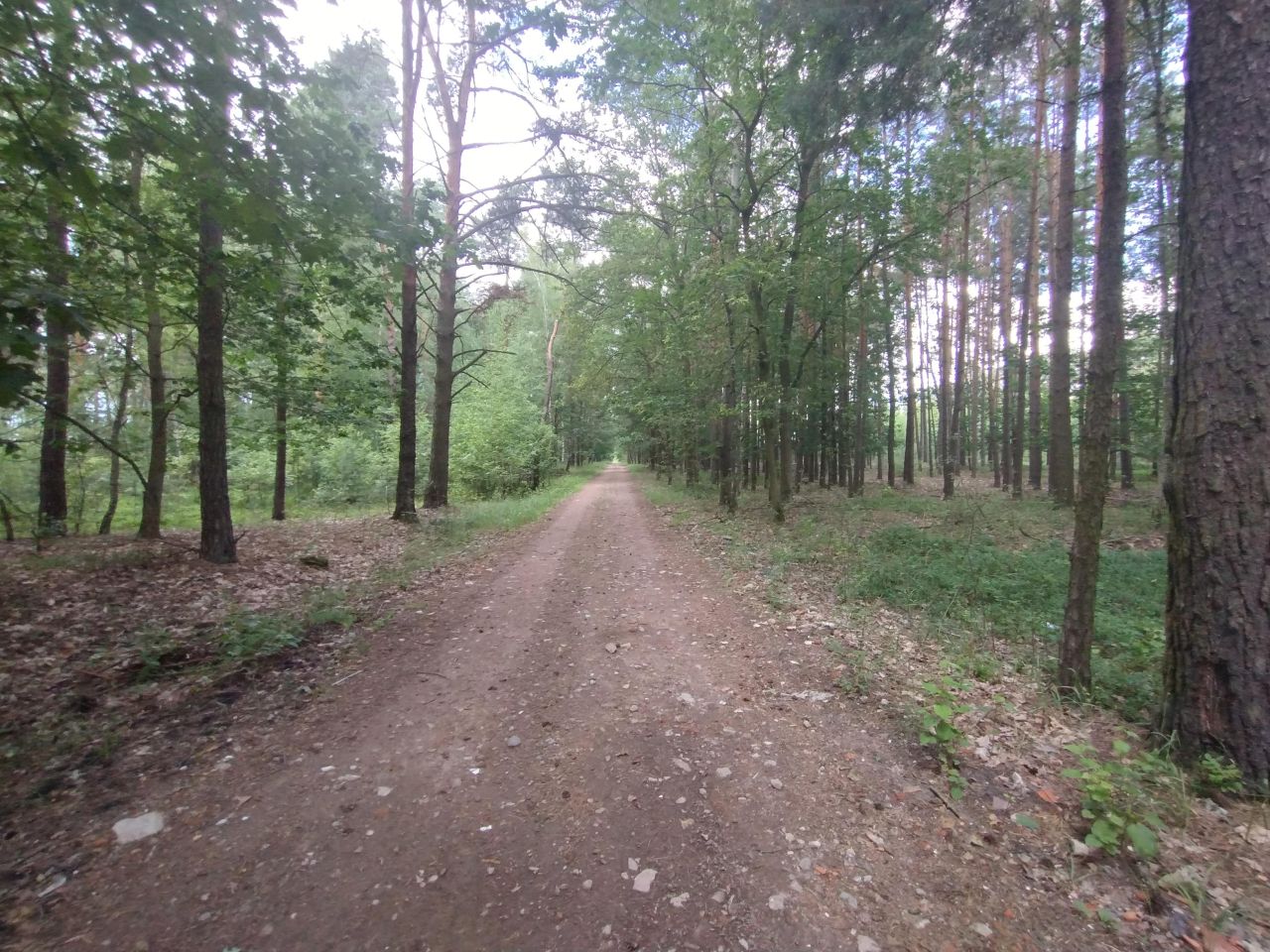 Działka budowlana Brzeziny. Zdjęcie 4