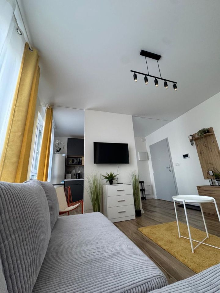 Mieszkanie 1-pokojowe Łódź Śródmieście, ul. Piotrkowska. Zdjęcie 7