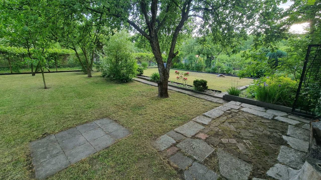 Działka rod Gliwice Śródmieście. Zdjęcie 4