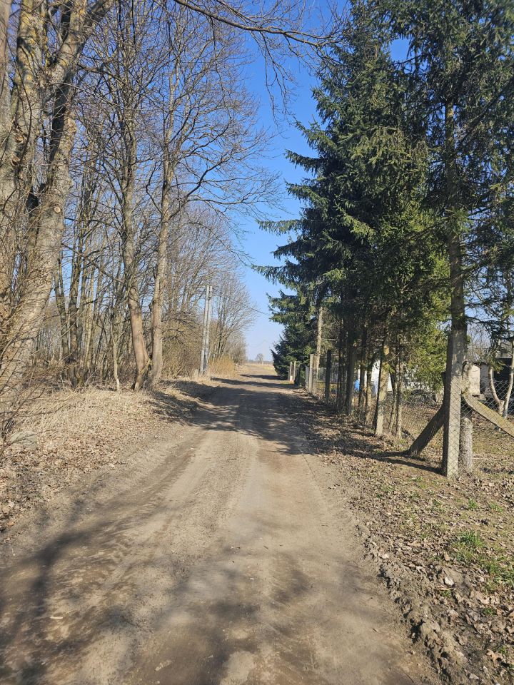 dom wolnostojący, 2 pokoje Dargikowo. Zdjęcie 4