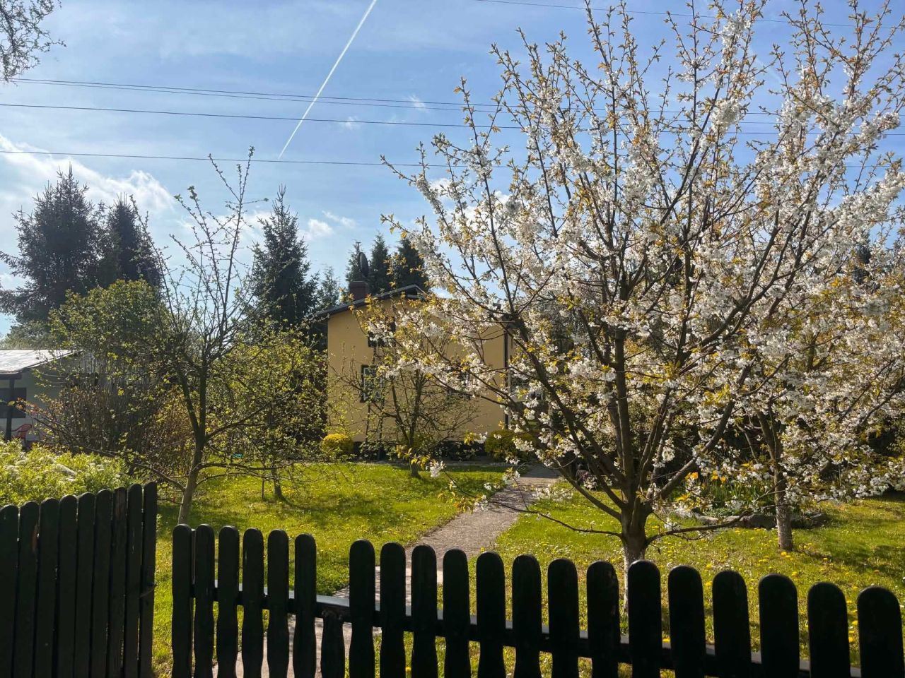 Działka rod Czechowice-Dziedzice. Zdjęcie 5