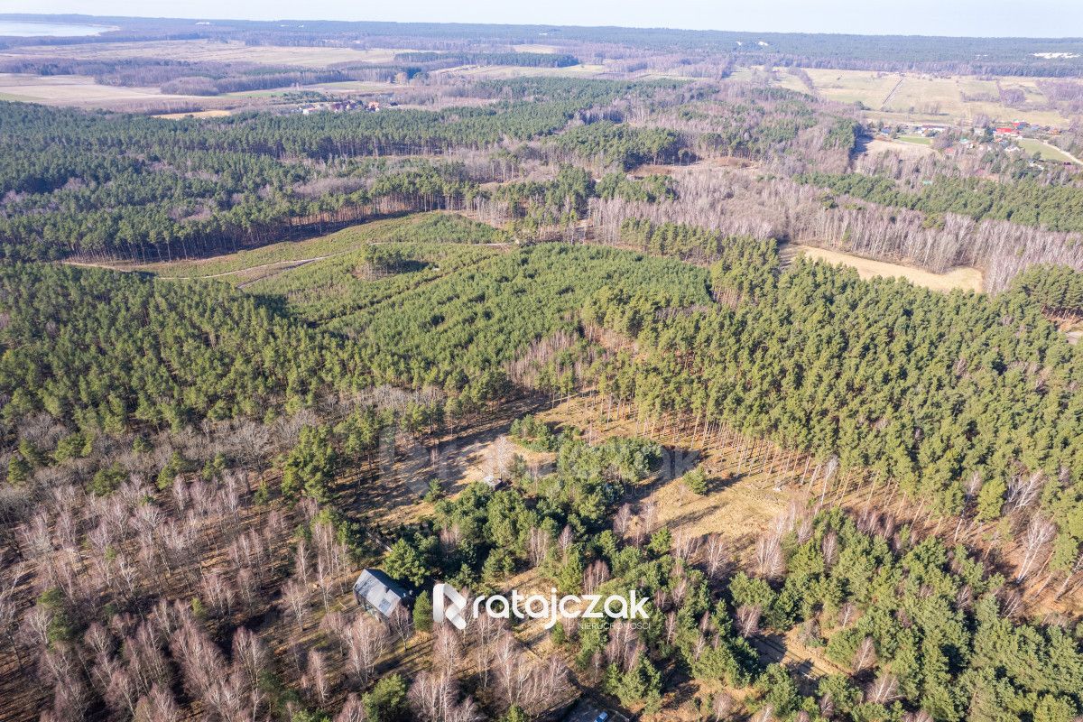 Działka inwestycyjna Sasino, ul. Stara Cegielnia. Zdjęcie 10
