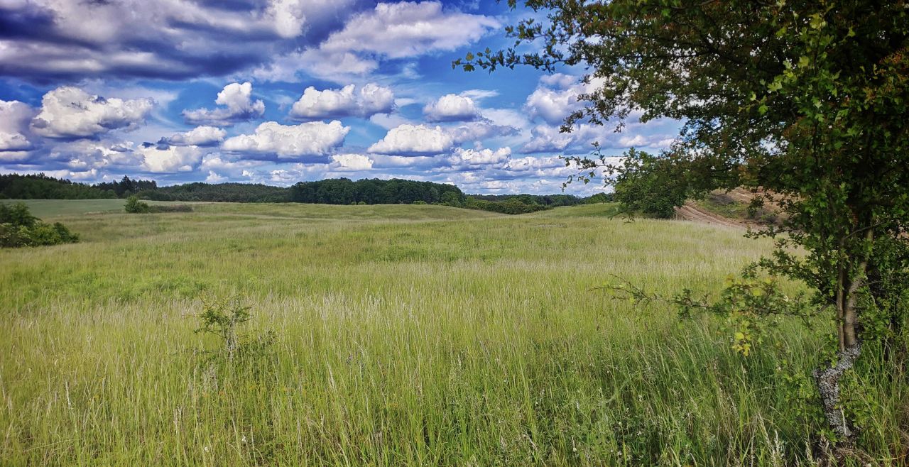 Działka rolna Łęgowo. Zdjęcie 3