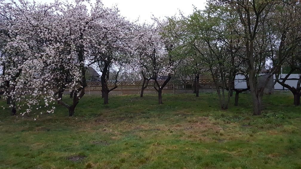 dom wolnostojący Kazanów. Zdjęcie 6