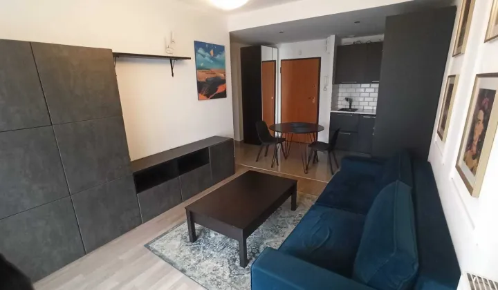 Mieszkanie 2-pokojowe Kraków Ruczaj, ul. Zygmunta Miłkowskiego