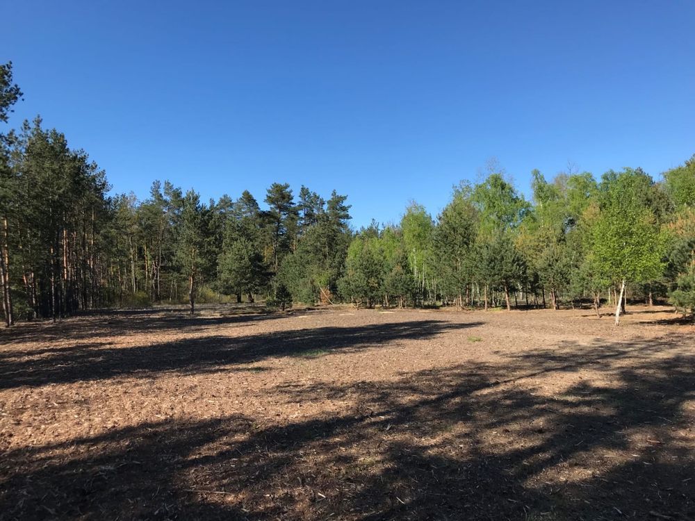 Działka budowlana Ołdakowizna. Zdjęcie 5