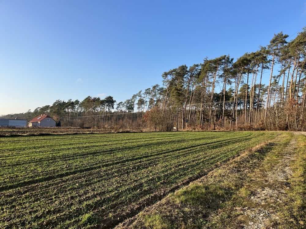 Działka budowlana Turzyn. Zdjęcie 5