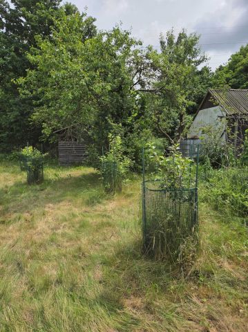 Działka rod Wrocław Krzyki, ul. Koszycka. Zdjęcie 1