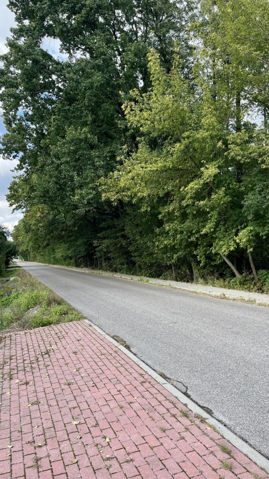 Działka budowlana Hołowienki. Zdjęcie 3