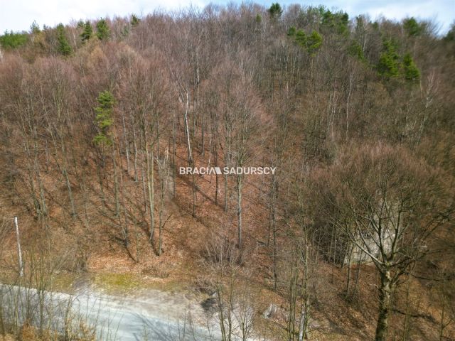 Działka leśna Jerzmanowice, ul. Zachodnia. Zdjęcie 5
