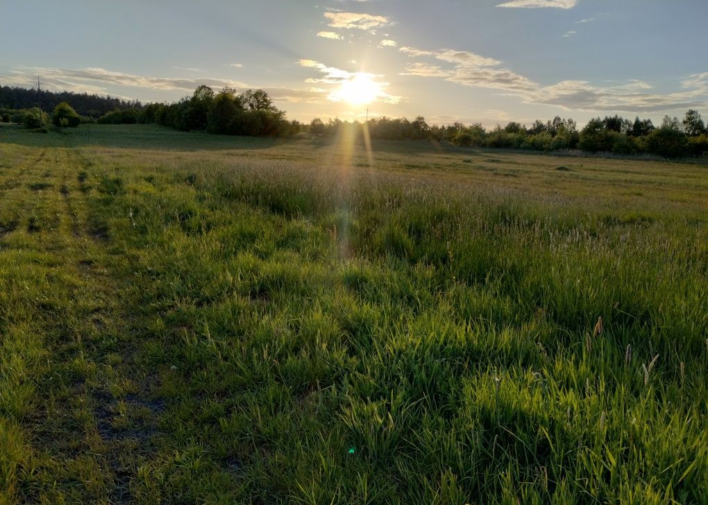 Działka budowlana Tumlin-Dąbrówka. Zdjęcie 6