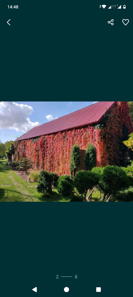 dom wolnostojący, 8 pokoi Potoczek. Zdjęcie 8