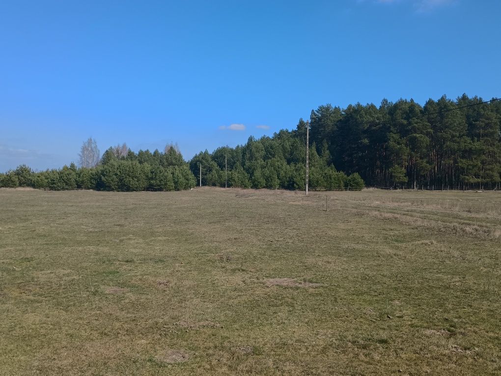 Działka rekreacyjna Mącice. Zdjęcie 3