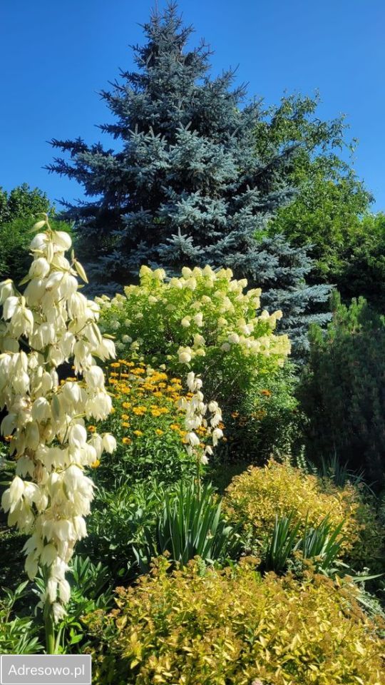 dom wolnostojący, 5 pokoi Ostrów Mazowiecka, ul. Poziomkowa. Zdjęcie 9