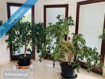 dom wolnostojący, 7 pokoi Budzyń. Zdjęcie 3