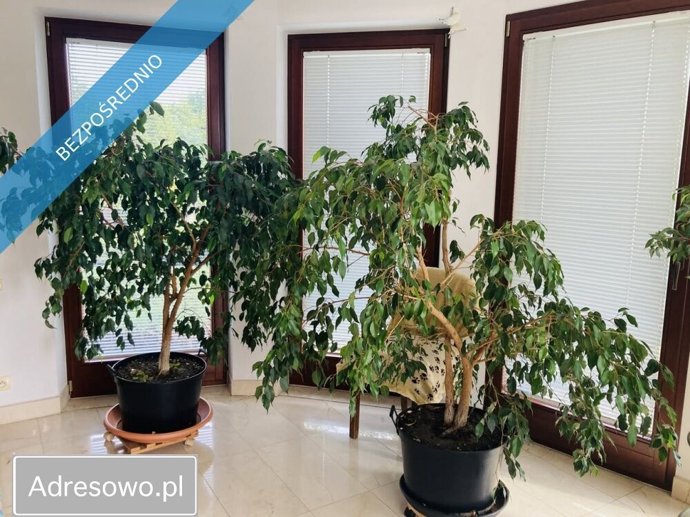 dom wolnostojący, 7 pokoi Budzyń. Zdjęcie 4