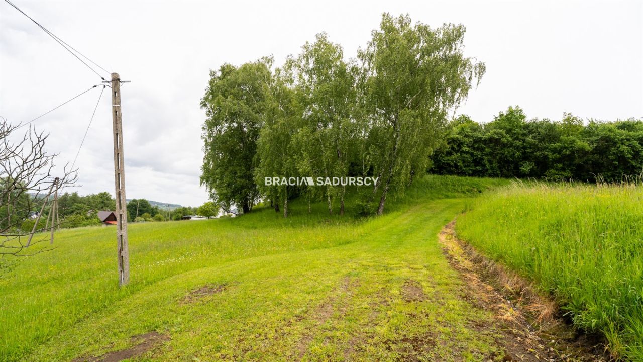 Działka rolna Łazany. Zdjęcie 12