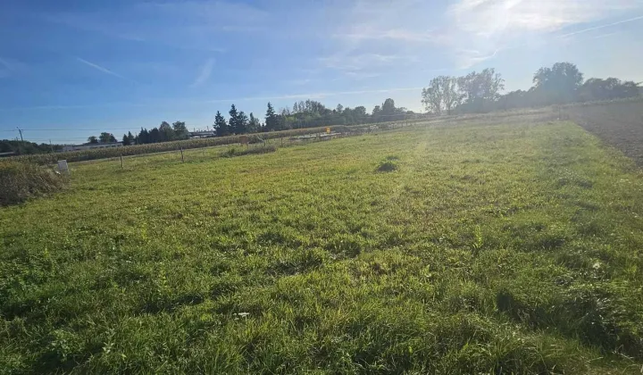 Działka budowlana Trzciana